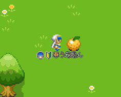みかんを押す！