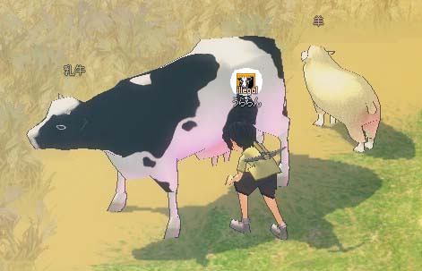 乳牛！ｶﾜｲｲ。ミルクをゲットできました。