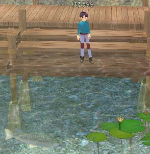 魚が泳いでたり。