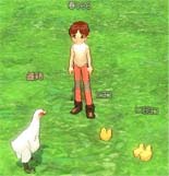 にわにわとりとり